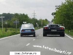 poze funny